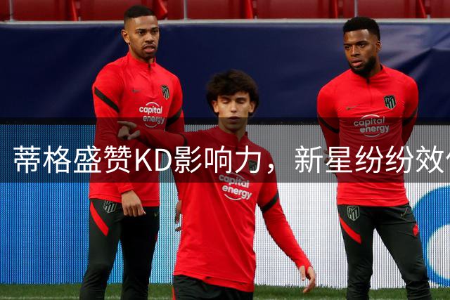 蒂格盛赞KD影响力，新星纷纷效仿其打法